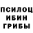 Галлюциногенные грибы GOLDEN TEACHER Cynthia Long