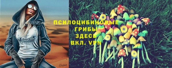 jwh Богородицк