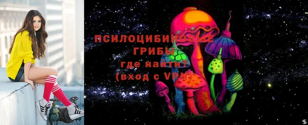 jwh Богородицк